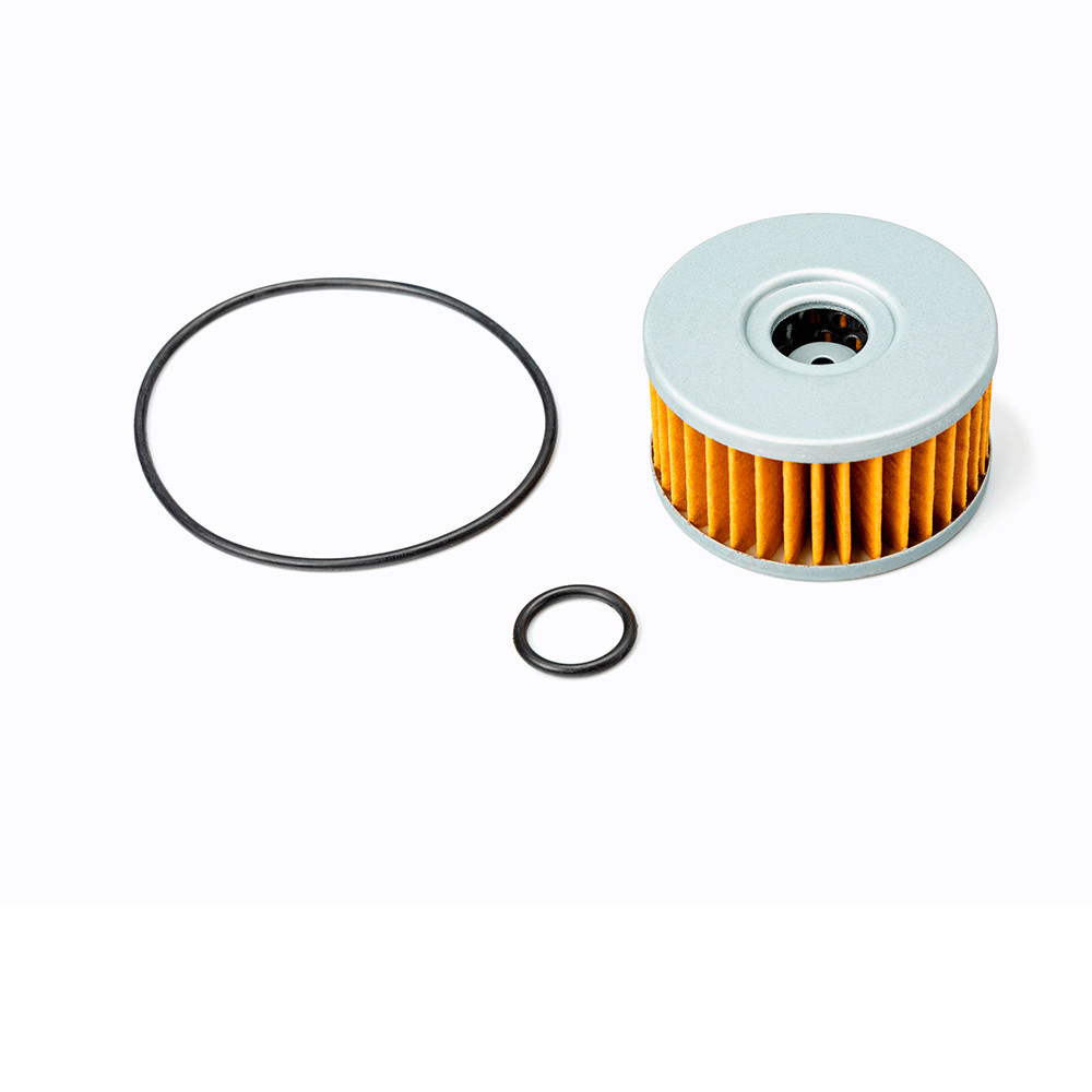Service Kit - Revisao a cada 2 anos (Brixton 250)